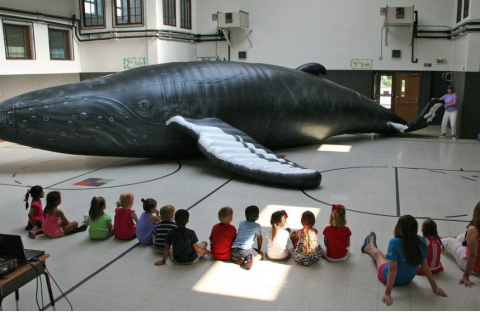 image of Nile, life-sized inflatable whale