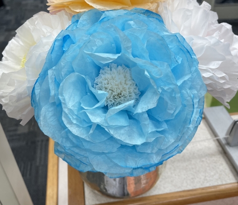 Colorful paper flowers