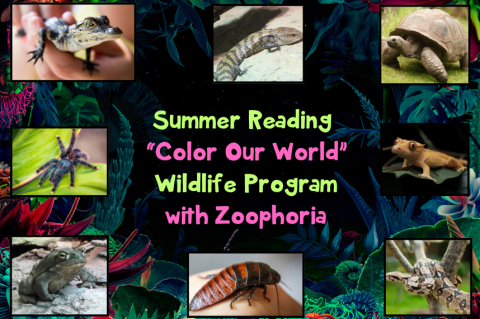 Jungle background with 4 different animals and 2 insects with words, "Summer Reading Color Our World  Wildlife Program"
