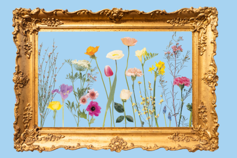 Flowers in a picture frame