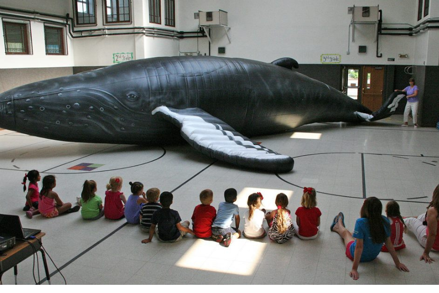inflatable whale