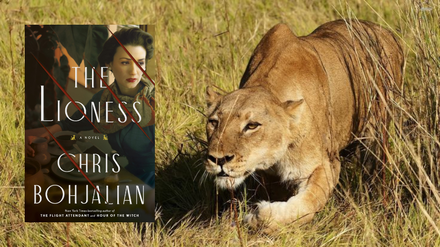 Cover of book The Lioness next to a crouching lioness in the high grass
