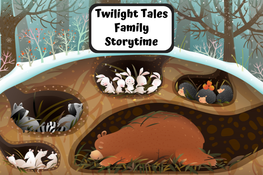 animals hibernating in winter time